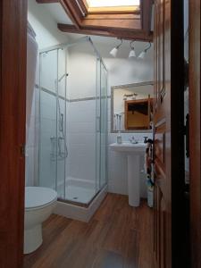 a bathroom with a shower and a toilet and a sink at La Casa de Campo I in Cudillero +20 photos