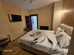 TV a/nebo společenská místnost v ubytování Gold Studio