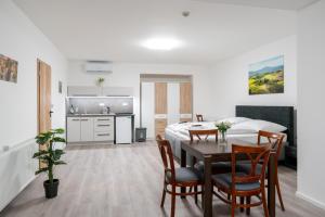 Kuchyňa alebo kuchynka v ubytovaní Apartmány LAGUNA