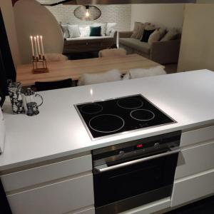 Η κουζίνα ή μικρή κουζίνα στο Polar Luxury Suite