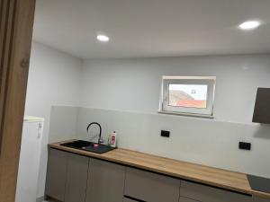 Kuchyň nebo kuchyňský kout v ubytování Guest house Ivan