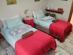 two beds in a room with red and blue at The Olde House in Port Elizabeth +8 photos