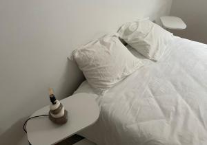 Postel nebo postele na pokoji v ubytování Le Wolf - 1 Chambre privée dans un appartement - 5mn tram du centre ville - 15mn tram Gare TGV Mulhouse - Wifi - Parking