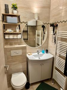 Un baño con inodoro, lavabo y espejo. en Studio Apartman Centar 2, en Livno 10 fotos más