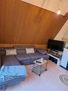 un salon avec un canapé et une télévision dans l'établissement Chalet à la Montagne, à Sainte-Marie-de-Campan