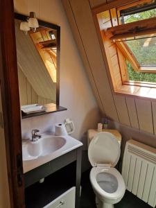 une salle de bain avec toilettes, lavabo et miroir dans l'établissement Chalet à la Montagne, à Sainte-Marie-de-Campan