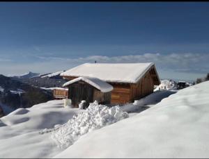 冬天的Chalet avec jacuzzi - 150 m des remontées