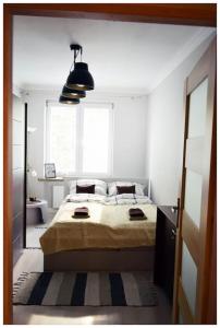 Postel nebo postele na pokoji v ubytování Color 24 Apartament Relaks