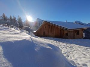 冬天的Chalet avec jacuzzi - 150 m des remontées