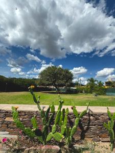 a cactus in front of a stone wall at Huaco Casa de Campo in Belén