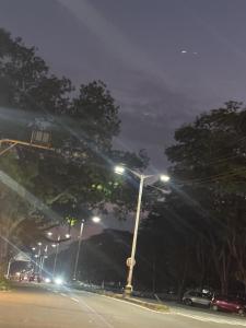 una strada di notte con luci e alberi di Mysuru-hotel a Mysore