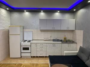 Kuchyň nebo kuchyňský kout v ubytování Crystal Apartman Obrenovac