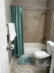 a bathroom with a green shower curtain and a toilet at Modern 3 Bedroom Ranch House in Newark +9 photos