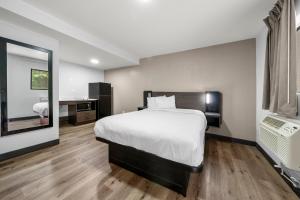 卡罗尔顿Southern Suites Carrollton的一间卧室设有一张大床和一个大镜子