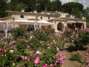 Zahrada ubytování Les chambres du Restaurant le Castellaras - Teritoria