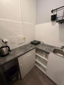 Kuchyňa alebo kuchynka v ubytovaní Elli apartament