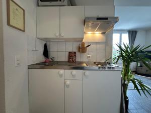 Kuchyň nebo kuchyňský kout v ubytování Casa di Alex