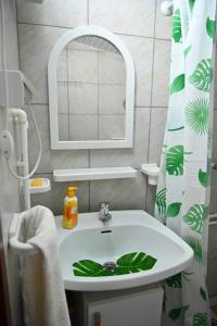 uma casa de banho com um lavatório, um espelho e uma cortina de chuveiro. em Gocki raj 2 em Goč