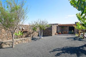 a house with a stone wall and trees in front of it at Apartamento Los 4 Nobles in Tinajo