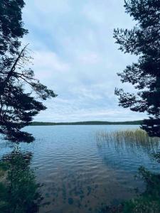 Loodusmaastik puhkemaja lähedal