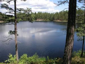 Loodusmaastik puhkemaja lähedal