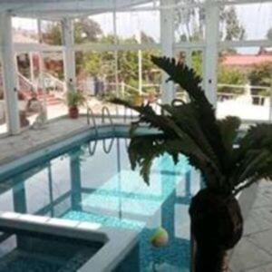 a plant in a vase next to a swimming pool at Cabaña Luna Miel in La Mesa