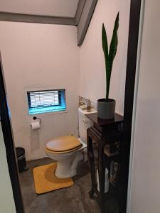 un bagno con servizi igienici e una pianta su un tavolo di Casa Mana Air B&B a Pretoria