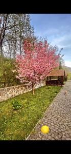 Vonkajšia záhrada v ubytovaní Moonglade Allure Houses