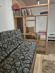 Knihovna v apartmánu