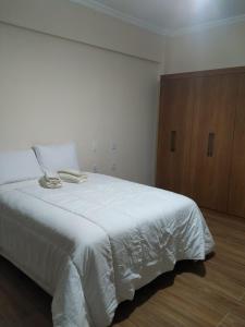 Un dormitorio con una cama blanca y un armario de madera. en Pousada Paraiso - Próximo a UFV, en Viçosa