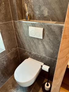a bathroom with a white toilet in a wall at Appartement de Charme - Le Large in La Tente-Verte +1 photo