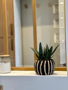 a black and white vase with a plant on a counter at Appartement de Charme - Le Large in La Tente-Verte