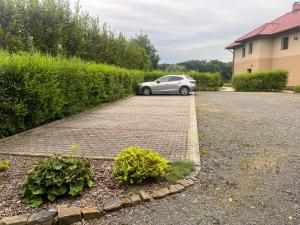 Zahrada ubytování Penzion Bez Modrého Páva