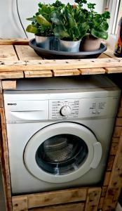 two potted plants sitting on top of a washing machine at Saint Jack Luxury in Trieste