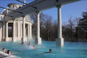 a group of people swimming in a swimming pool at Nancy Autre Canal Chez Hélo in Nancy