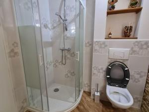 BoismontにあるChambre confortable avec salle d'eau privative - FR-1-584-326のシャワーとトイレ付きのバスルーム +3枚の写真