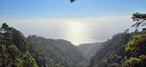 Fotografie z fotogalerie ubytování FREEDOM v destinaci Tablado de la Montañeta