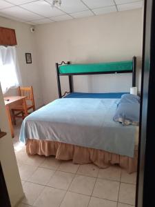 Postel nebo postele na pokoji v ubytování Hostel Calfucurá