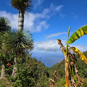 Fotografie z fotogalerie ubytování FREEDOM v destinaci Tablado de la Montañeta
