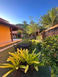 ein Garten mit vielen Bananenpflanzen und Stühlen in der Unterkunft Experiência surreal em Àguas de Olivença, Ilhéus BA in Olivença