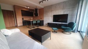 TV a/nebo společenská místnost v ubytování Apartament LOFT