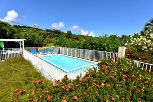 Sur la route des épices - Location villas avec piscine et jacuzzi内部或周边的泳池