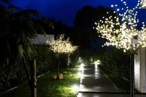 A garden outside Arroka