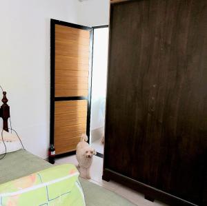 Postel nebo postele na pokoji v ubytování Casa verde 100m da Lagoa