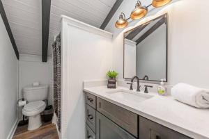 a bathroom with a sink and a toilet at NEW Toccoa River Front - HotTub Fire pit Game Room in Mineral Bluff +50 photos