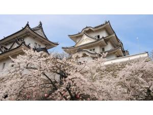 two towers withakuraakura trees in front of a building at Hill Hotel Sunpia Iga - Vacation STAY 66997v in Iga