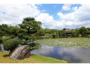Un estanque con un árbol, una roca y nenúfares. en TSUYAMA KAKUZAN HOTEL - Vacation STAY 75704v, en Tuyama
