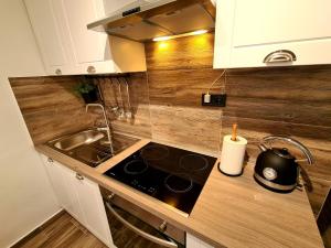 Kuchyň nebo kuchyňský kout v ubytování Apartman Denis + 13 fotografií