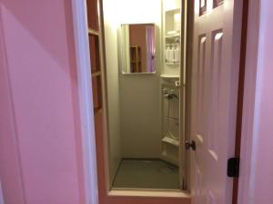 a bathroom with a shower and a mirror at Second floor - Vacation STAY 82648v in Naha +5 photos