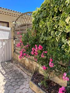 a bush with pink flowers next to a fence at Grand studio avec piscine au coeur du village in Le Puy-Sainte-Réparade